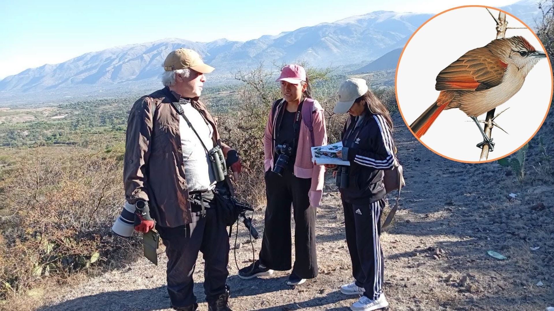 Investigadores de la Universidad Nacional Autónoma de Huanta y de la Universidad de Cambridge identificaron en Ayacucho un ave que podría corresponder a una nueva especie. (Universidad Nacional Autónoma de Huanta)