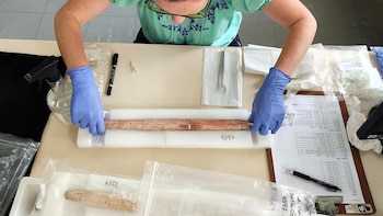 La caza de ballenas comenzó