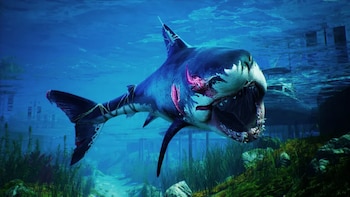 Maneater, de Tripwire Interactive