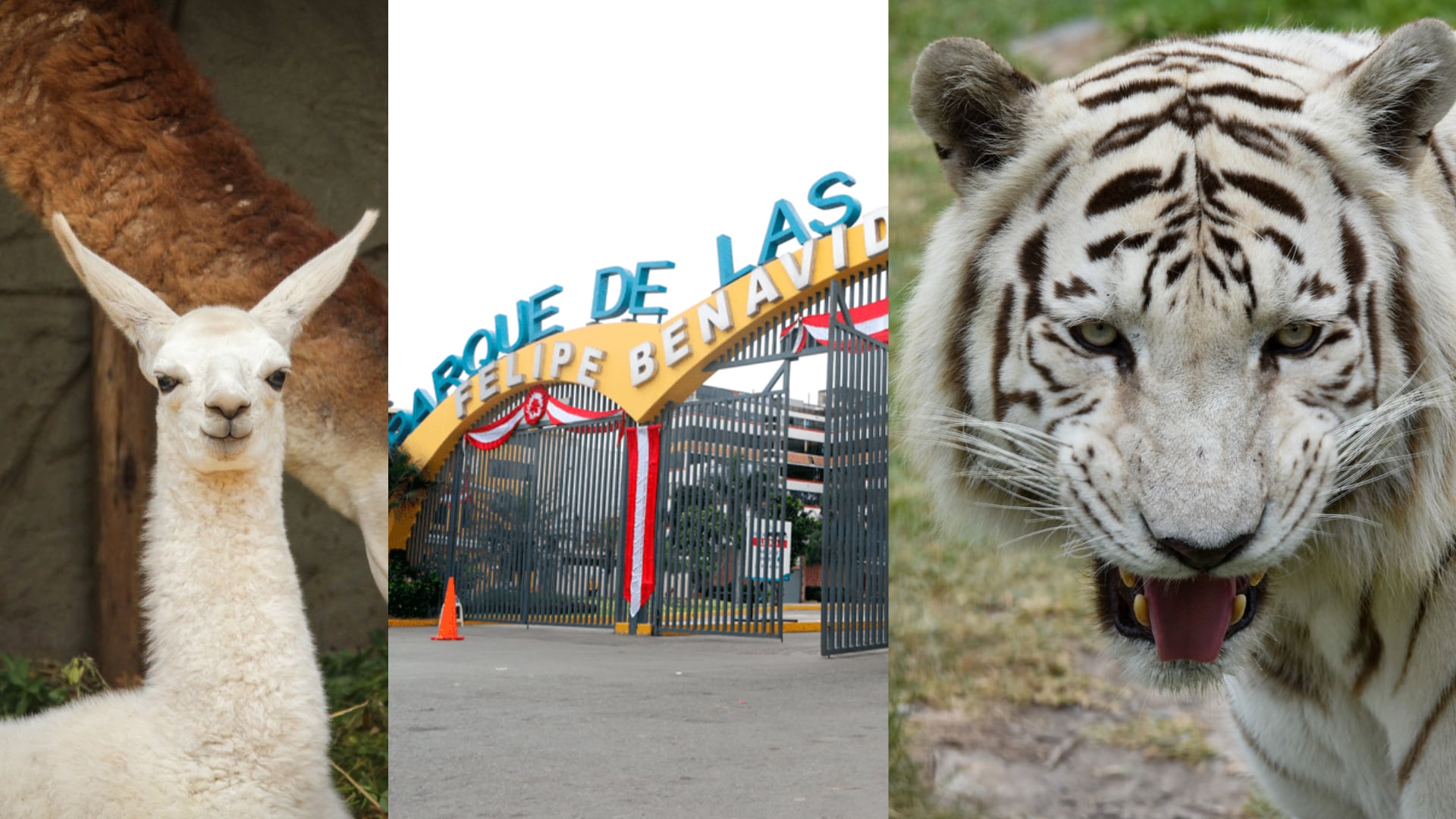 Nuevos precios en el Parque de Las Leyendas para 2026| Foto: Parque de Las Leyendas