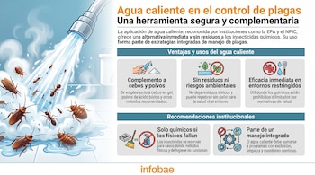 Ilustración de un chorro de agua caliente cayendo sobre cucarachas, hormigas y chinches. Infografía con texto sobre ventajas y recomendaciones.