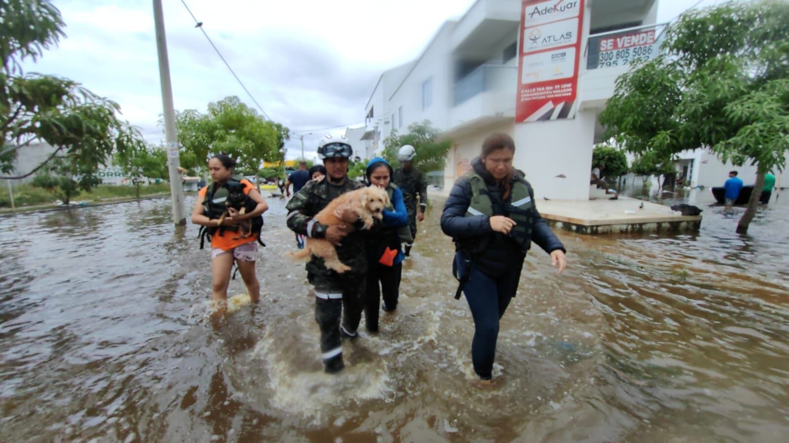 Unidades del ejército también han colaborado en el rescate de animales - crédito @COL_EJERCITO / X