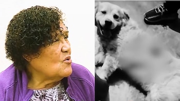 Una mujer con abrigo morado a la izquierda y un perro echado en el suelo junto a un calzado a la derecha
