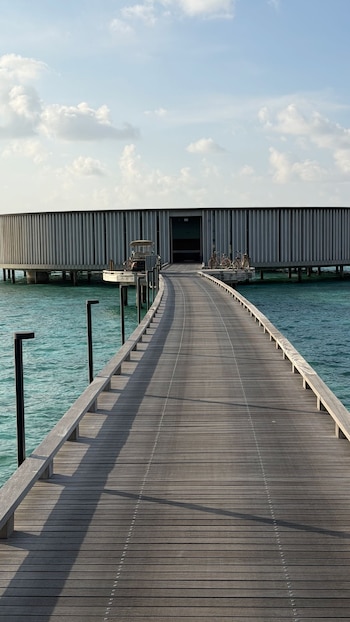 Todo el hotel se encuentra