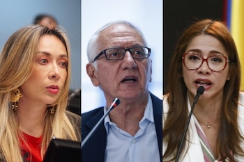 Representantes del partido Verde le