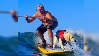 Hombre en bermudas y perro labrador con chaleco salvavidas rojo sobre tabla de surf amarilla y blanca, sobre una ola. El hombre sujeta un remo