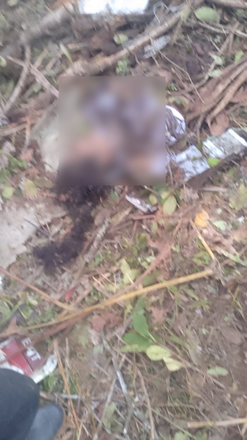 Equipos de rescate recuperan los