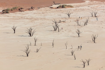 El Desierto de Namib (Namibia)