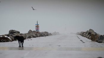 EN VIVO|Clima CDMX y resto de México hoy lunes 5 de octubre: cierran puertos en el Golfo por baja presión