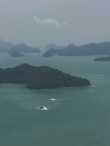 Las mini vacaciones en Malasia de Oscar Piastri, Lando Norris, Alex Albon, George Russell, Gabriel Bortoleto y Ollie Bearman