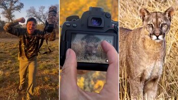 La felicidad viral de un