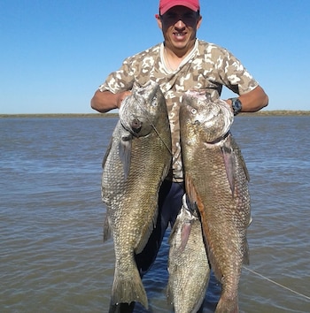 Darío Iturralde, quien registró el