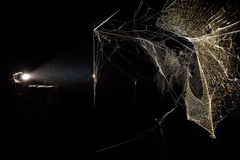 Las famosas telarañas de Saraceno que recorrieron el mundo