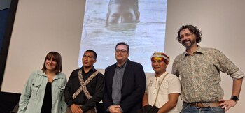 La complicidad de actores locales