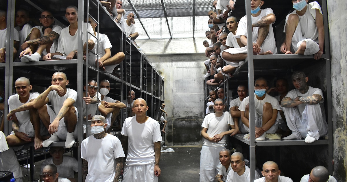 Cecot: El centro de confinamiento que alberga a 20 mil presos en El Salvador
