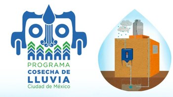 Le cours CDMX pour récolter