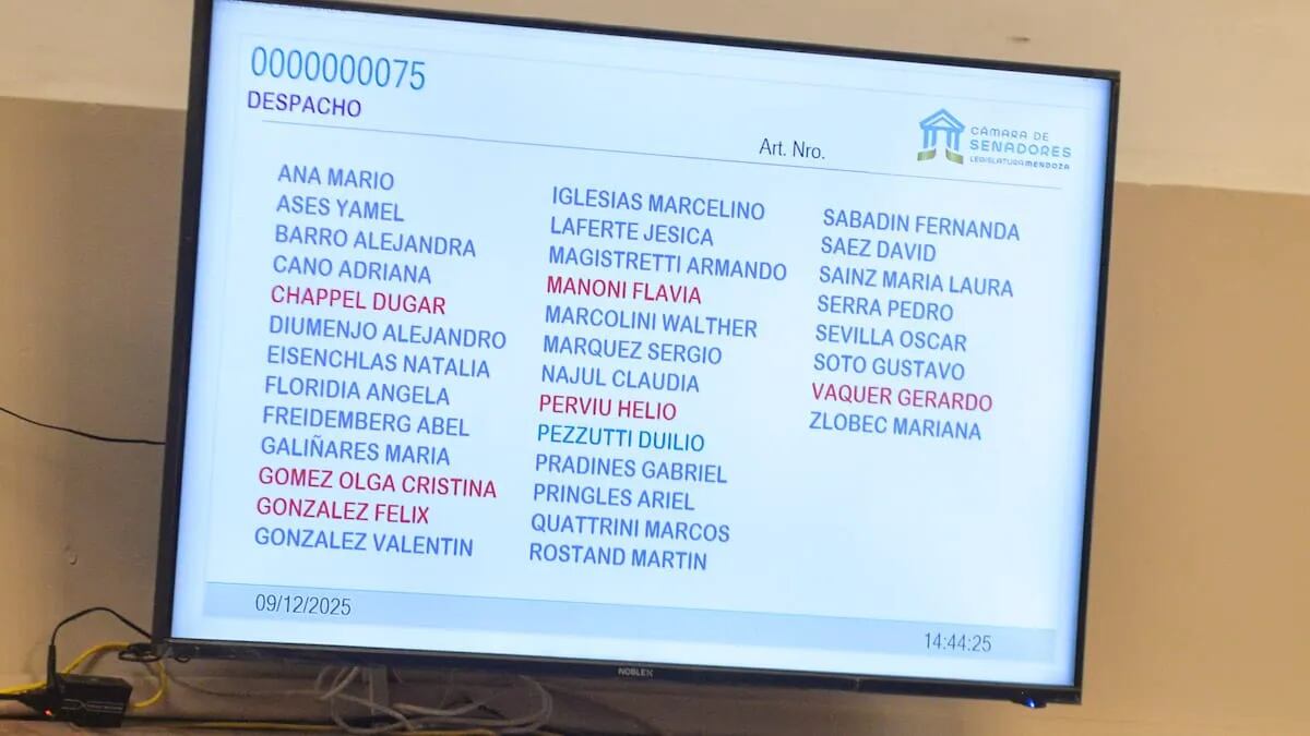 La votación tuvo 29 votos afirmativos y 6 negativos (Foto: Senado de Mendoza)