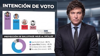Los 1000 días de Milei: el Gobierno llega con su peor valoración y malestar económico, pero conserva su piso electoral