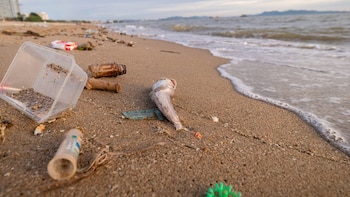 Contaminación en las costas bonaerenses: