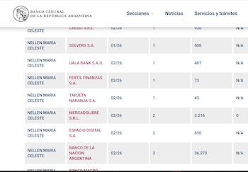 Parte de las deudas de Nellen según el BCRA, expresadas en miles de pesos