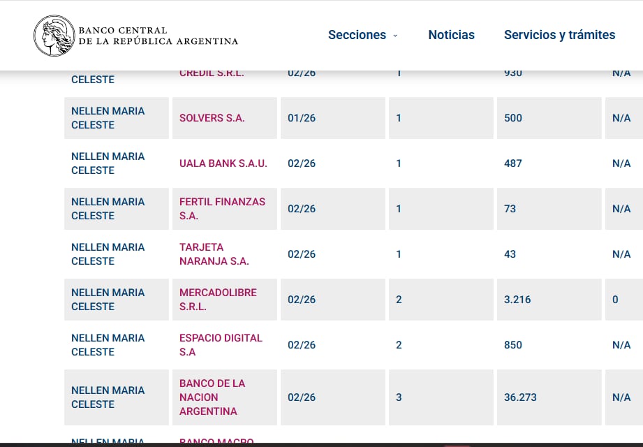 Parte de las deudas de Nellen según el BCRA, expresadas en miles de pesos