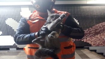 En el Día Internacional del