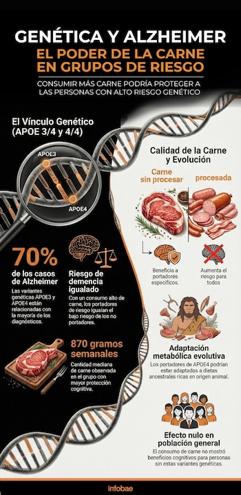 El estudio de quince años reveló que la dieta rica en carne beneficia solo a quienes portan variantes APOE 3/4 y 4/4