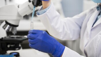 La IA diseña por primera vez virus completos que no existen en la naturaleza
