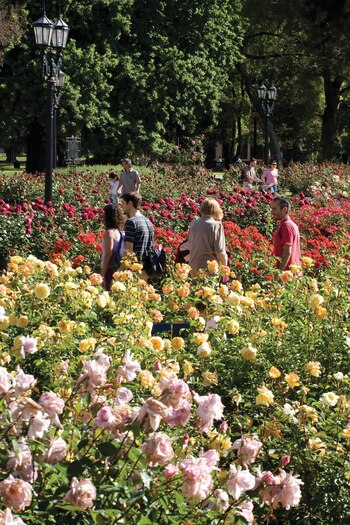 "Buenos Aires no es percibido