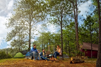 Vista de tres personas acampando alrededor de una fogata con un hombre tocando el ukelele, tiendas de campaña y pinos