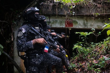 El entrenamiento busca fortalecer la coordinación entre fuerzas de distintos países ante escenarios de crisis y amenazas comunes. Cortesía Ministerio de Seguridad
