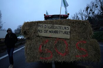 Un agricultor camina junto a