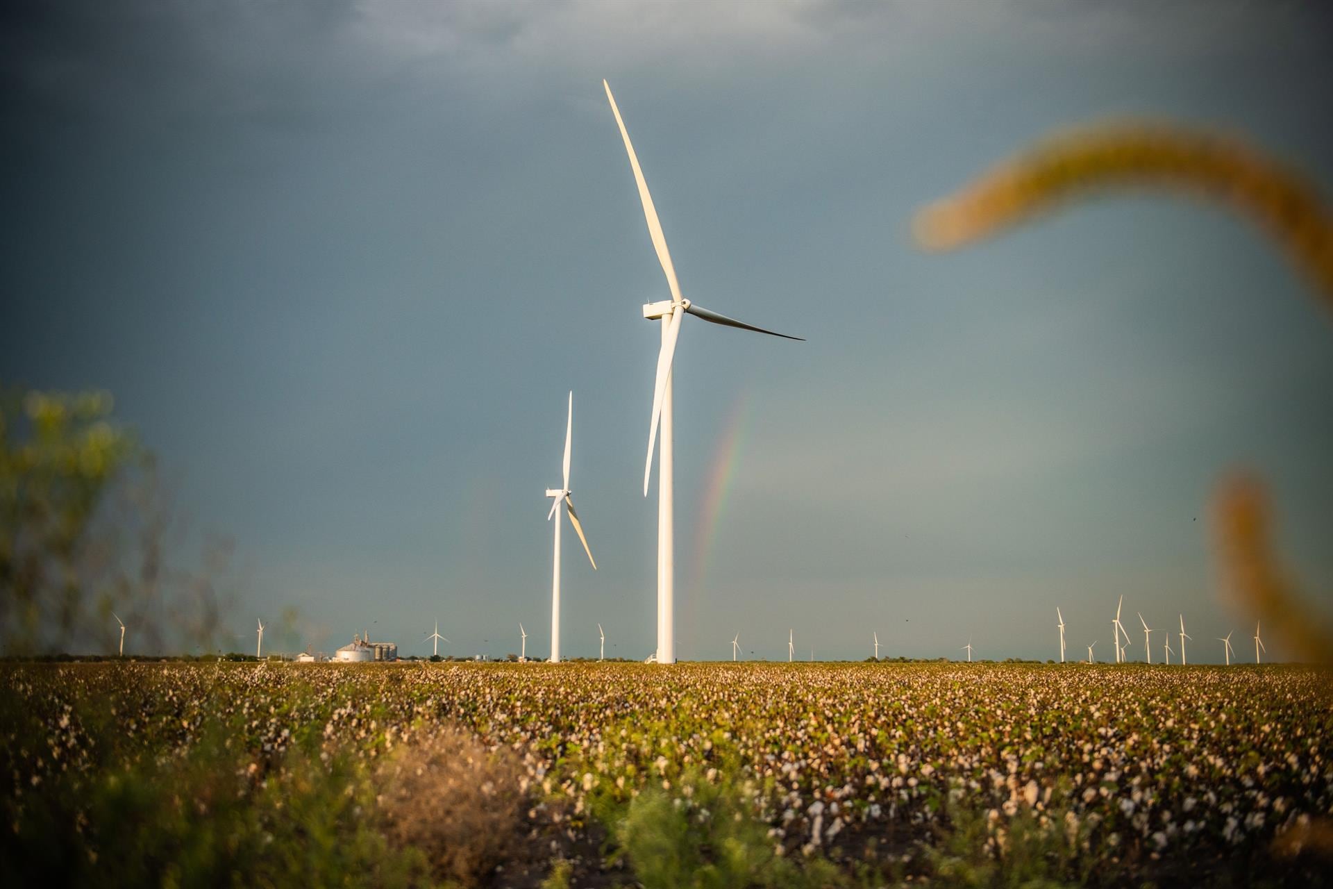 La disputa energética enfrenta a las tecnológicas con empresas eléctricas monopólicas mientras la energía eólica y solar no cubre la nueva demanda de la red (Europa Press)
