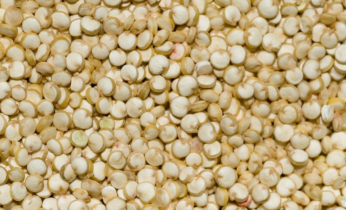 La quinoa se destaca por su aporte de proteínas, fibra y micronutrientes esenciales, convirtiéndose en un alimento valorado por su calidad nutricional.
(Pom/Wikipedia)