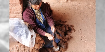 La Red Federal Interuniversitaria de