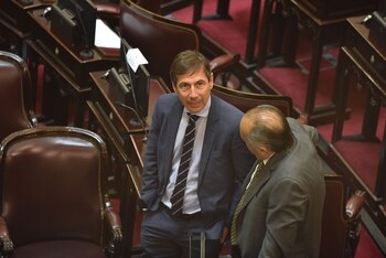 Luis Naidenoff (Foto: Franco Fafasuli)
