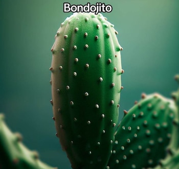 Conoce la Línea 4 del