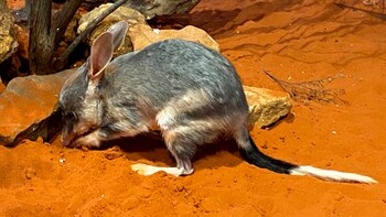 Imagen R5BCH6EOU5DYFOW2E5OJT4NQLE