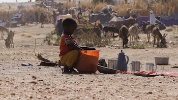 Una organización acusa a las