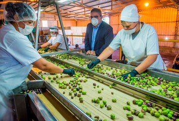 Según las autoridades locales, Catamarca