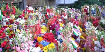 La cultura silletera, originaria del