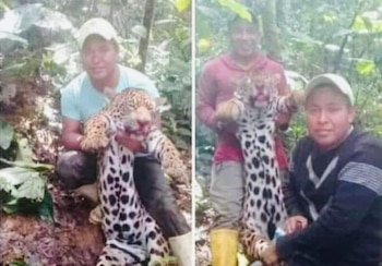 Fotografía difundida en redes sociales