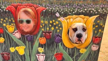 La dueña de Biggie ganó