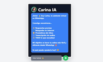 El chatbot fue desarrollado por