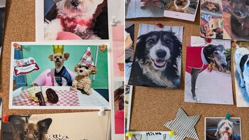 En una pared cuelgan las