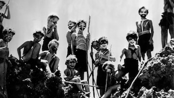 "El señor de las moscas"