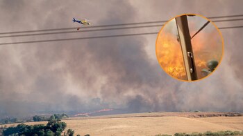 Un agricultor se encuentra a