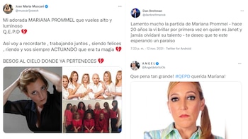 Muscari, de Brito y Breitman