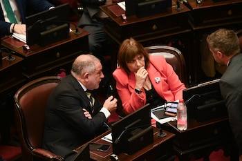 Patricia Bullrich en el Senado (RS Fotos)