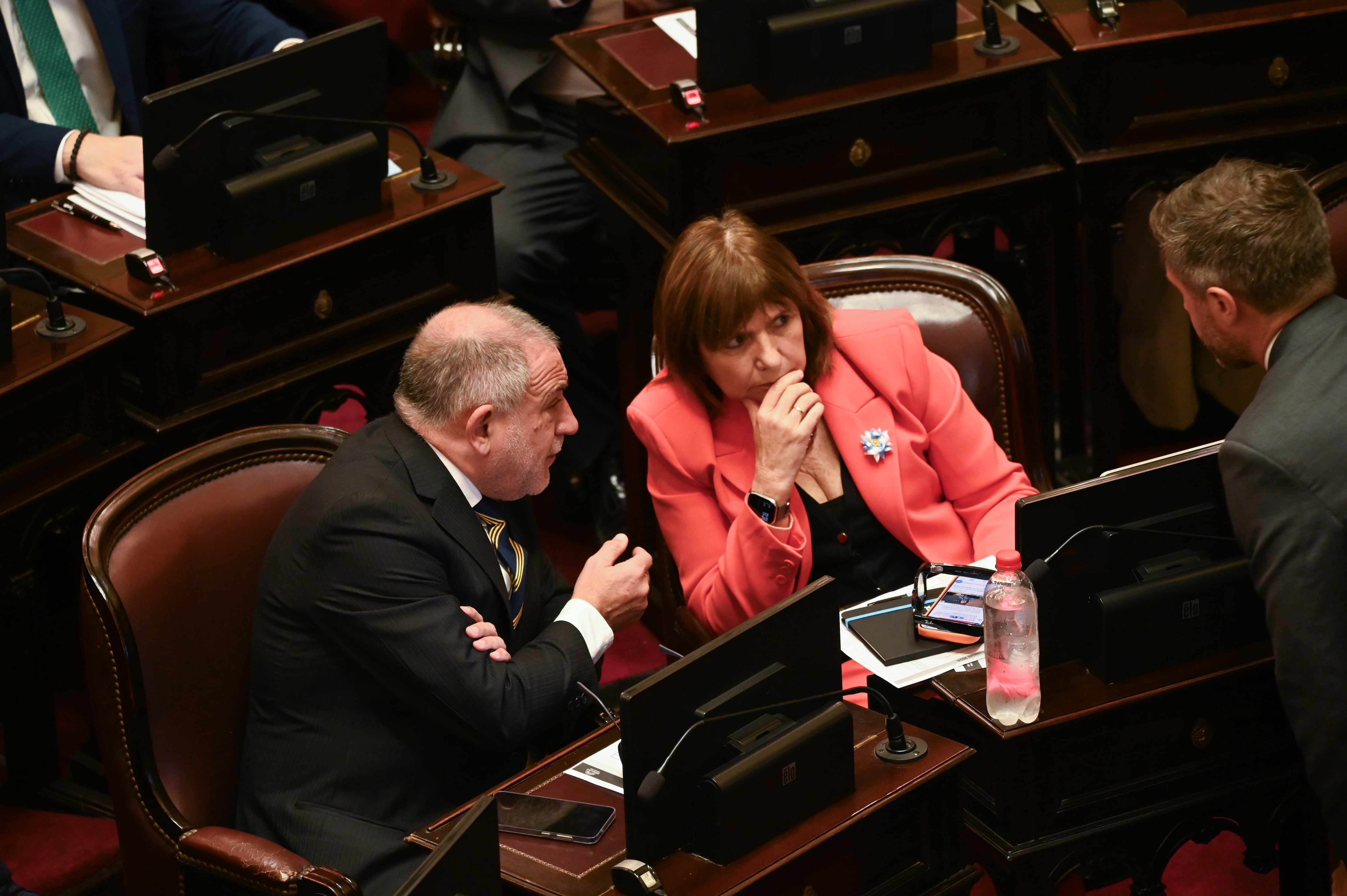 Patricia Bullrich en el Senado (RS Fotos)